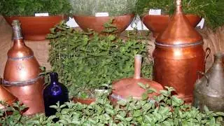 Pancalieri, Viverbe 2013