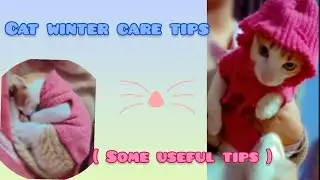CAT WINTER CARE TIPS 😺✨// #cat #catwintercare #youtube #pets #tips #catcare 