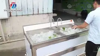 1.1KW Commercial Ozone Multifunctional Vegetable Washing Machine