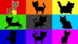 Pedigree Cats - Facts about Cats for Kids - Animal Learning Video