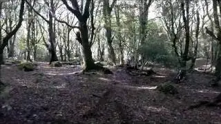 MTB Barna Woods Galway