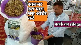 ये साइलेज खिलाकर पशु का दूध बढ़ाएं । punjab silage company । kisan farming