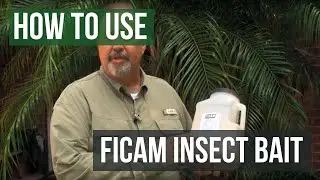 Ficam Insect Bait