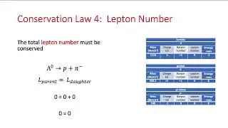 IB Physics: Lepton Number Conservation