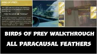 Birds of prey Destiny 2\walkthrough All paracausal feathers Locations week 1