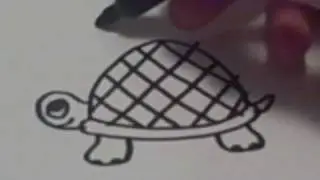 How to Draw a Cartoon Turtle