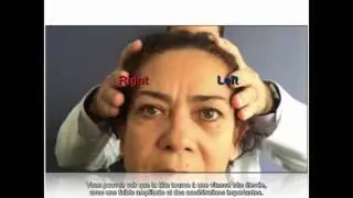Understanding the Head Impulse Test FR