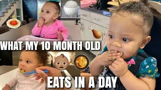 WHAT MY 10 MONTH OLD EATS IN A DAY