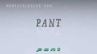 pant - pronunciation + Examples in sentences and phrases