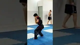 Sanda (boxe chin&ecirc;s) deslocamentos