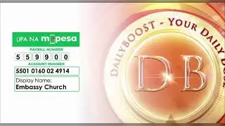 DailyBOOST