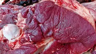 Delicious Beef || Non Stop Beef Cutting & Processing In Meat Market || Beef Cutting Skills