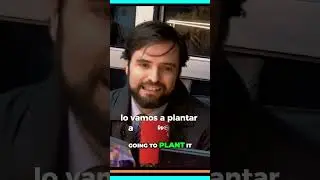 Save the Amazon: Plant a Tree in Your Name!