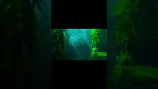 Раббана Дуа из Корана - (Омар-Хишам)