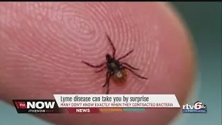 Local woman's story illustrates need for tick awareness to prevent hard-to-spot Lyme disease