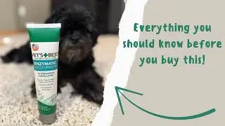Dog Plaque & Tartar: Let&rsquo;s Try This Gel Toothpaste