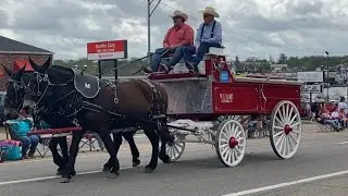 Mule Day Parade! #parade #horse #tennessee