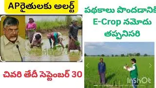 AP E- crop registration #ap రైతులు ప్రభుత్వ పథకాలకు ఈ క్రాప్ నమోదు తప్పనిసరి