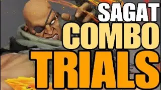 All Sagat Combo TRIALS - Street Fighter V AE