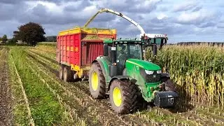 Ma&iuml;s oogst 2025 met Claas Jaguar 870. Loonbedrijf Bouwman Wittewierum.