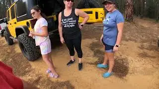 20 Jeeps at Croom WMA