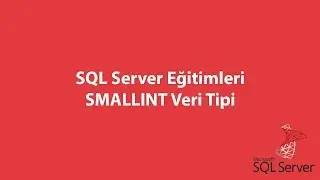 SQL Server'da SMALLINT Veri Tipi