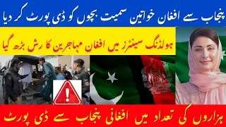 Afghan Refugees Deportation Data From Punjab |Latest Pakistan News Today|