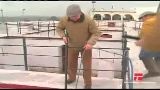 Ganaderia De Benitez Cubero, Nuestro Campo Bravo