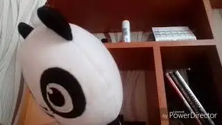 Панда Бамбук и Насатик карты 2 часть!