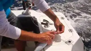 Fishing Edge S04E08 Tips   Skip Bait Long Ver