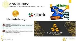 [CS198.1x Week 2] Blockchain Community and Politics