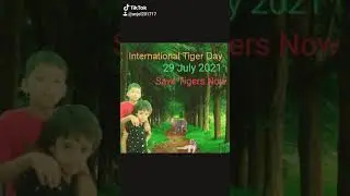 International Tiger Day 28 July 2021#save tiger#youtubeshorts #shorts#shorts#worldtigerday#ytshorts🐅