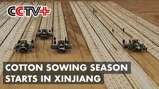 Cotton Sowing Season Starts in Xinjiang with Help of Advanced Agro-Techniques