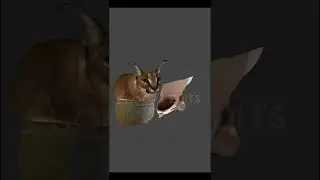 #флёпа #floopa #1ksubs Жесткий шлёпка😎