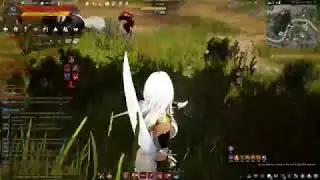[BDO] Lahn PvP Montage