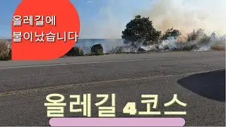 제주도 올레길 걷기 4코스 19km
