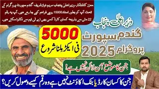 Wheat Support Program 2025 | Wheat Subsidy Amount Updates