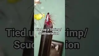 Shrimp #flytying#fishing #artandcraft #creative#amazing#shorts #vibrant#colorful
