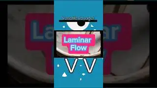 Facts About Laminar Flow: #shortsfeed #laminarflow #dynamic #ytstudio