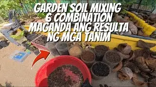 MAGANDA ANG RESULTA NG MGA TANIM.