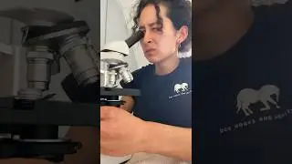 Mestcheck!! 💩🦄