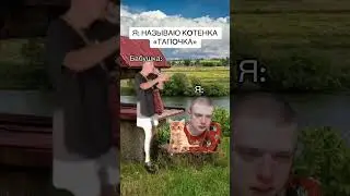 смешное видео с котом #кот  #cat