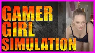 JOUEZ UN FANBOY/MOD&Eacute;RATEUR DE STREAMEUSE POPULAIRE EN FMV!