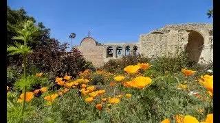 Mission SJC :30 Spot Feb 2019 2