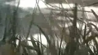 Yoko Kanno - Inner Universe - Foreign Landscapes - Ireland
