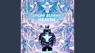 Snow Bunny Heaven