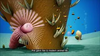 Ancient fossils shed new light on evolution of sea worm