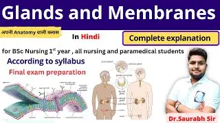 glands and membranes full lecture | Bsc nursing 1st year | Anatomy and physiology in Hindi