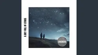 A Sky Full Of Stars