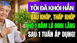 3 Cách Dùng Lá Đinh Lăng Giảm Đau Xương Khớp Tại Nhà Cực Kì Hiệu Quả Chỉ Sau 1 Tuần
